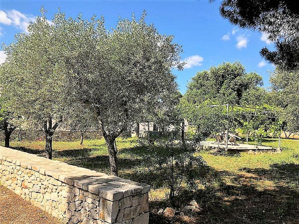 Appartamento Casa Polinisso Carovigno Esterno foto